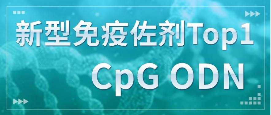 新型免疫佐劑Top1—CpG ODN
