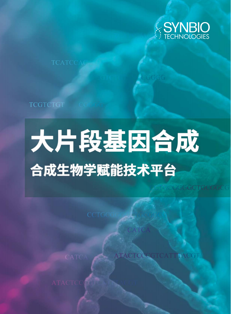 大片段基因合成