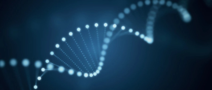 文獻速遞 | Nature子刊重磅！泓迅CpG佐劑助力攻克癌癥疫苗精準激活難題