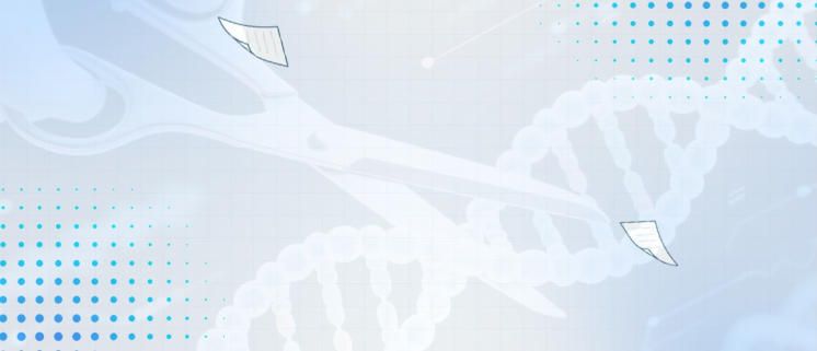 從設計到驗證—CRISPR基因敲除細胞株實戰(zhàn)案例