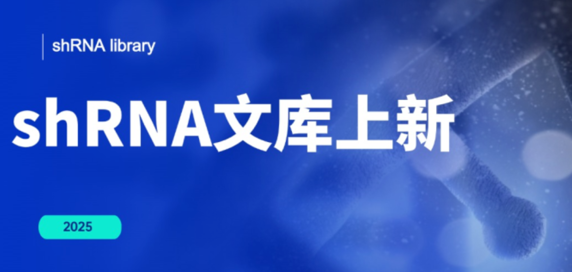 shRNA文庫：基因組篩選與靶點發(fā)現(xiàn)的強大工具