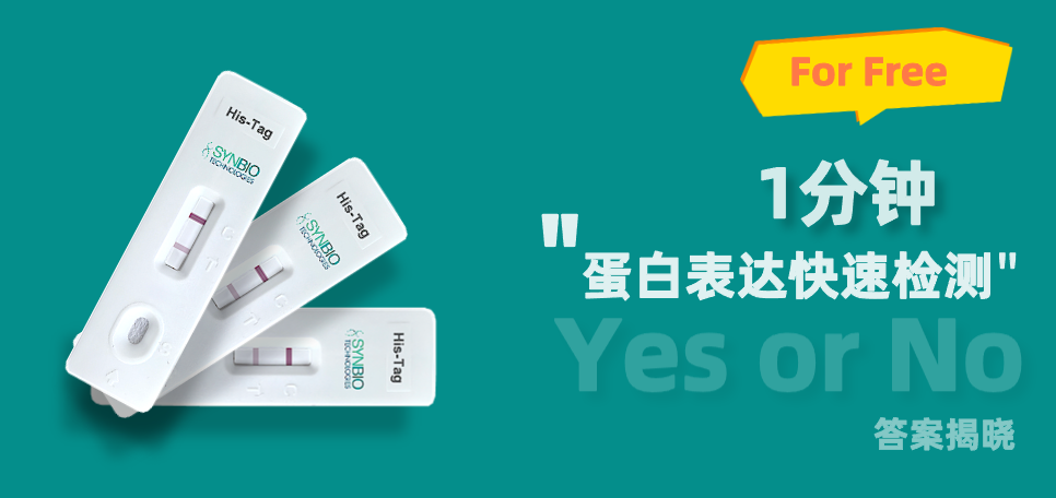 限量領(lǐng)取 | 泓迅生物ProXpress蛋白快速檢測卡，1分鐘驗證蛋白表達